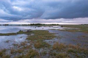 Réservez des locations vacances dans les Landes, pour un séjour au cœur de la nature